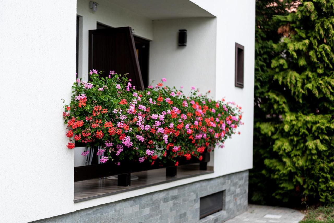K'Raman Hotel Ramnicu Valcea Exterior photo